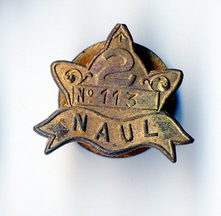 National Amalgamated Union of Labour badge (image/jpeg)