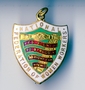 National+Federation+of+Women+Workers+badge+%28image%2Fjpeg%29