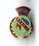Scottish+Horse+and+Motormens+Association+badge+%28image%2Fjpeg%29