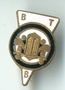 Belgium+BTB+Road+Transport+Workers+badge+%28image%2Fjpeg%29