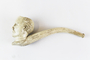 Tobacco pipe with Ramsay MacDonald caricature (image/jpeg)