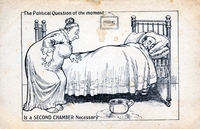 Is a Second Chamber necessary?postcard (image/jpeg)