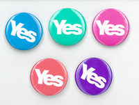 NMLH.2015.4.9 YES badges (image/jpeg)
