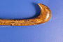 NMLH.2019.1_cane+handle+%28image%2Fjpeg%29