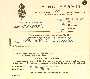 NMLH.2001.20.378%28low%29.jpg+%28image%2Fjpeg%29