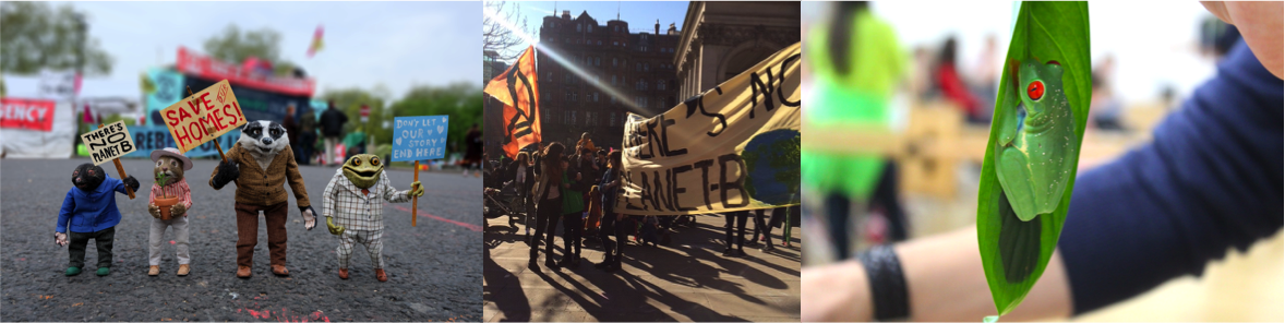 There is no Planet B creative disobedience day @ People's History Museum. Left to right: © The Wildlife Trusts, Schools Strike for Climate © PHM and Red Eyed Tree Frog courtesy of Manchester Museum © Andrew Gray