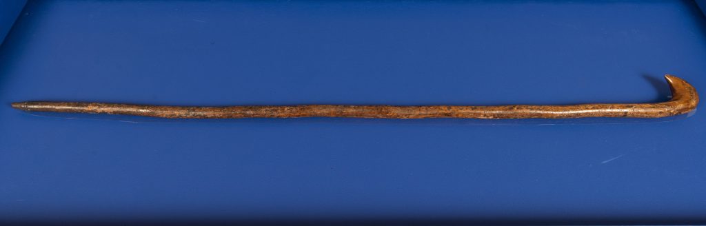 Peterloo cane, around 1819 © People's History Museum