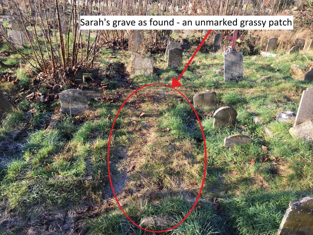 Sarah’s grave as found – an unmarked grassy patch courtesy of Sam Johnson