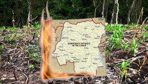  Image of DR Congo map burning in woodland © Kooj Chuhan