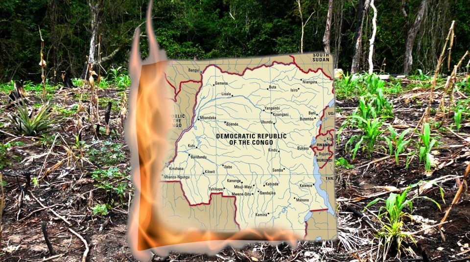 Image of 12 November 2020, Climate Change, Migration and DR Congo, Radical Late online with People's History Museum. Image of DR Congo map burning in woodland © Kooj Chuhan