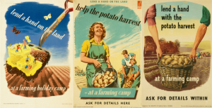 Left to right: Lend a hand on the land poster by Eileen Evans and two Farming Camp posters, around 1940. Images courtesy People's History Museum