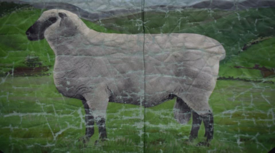 Image of a sheep; detail from National Union of Agricultural Workers Shropshire Branch banner, around 1950. Image courtesy of People's History Museum.