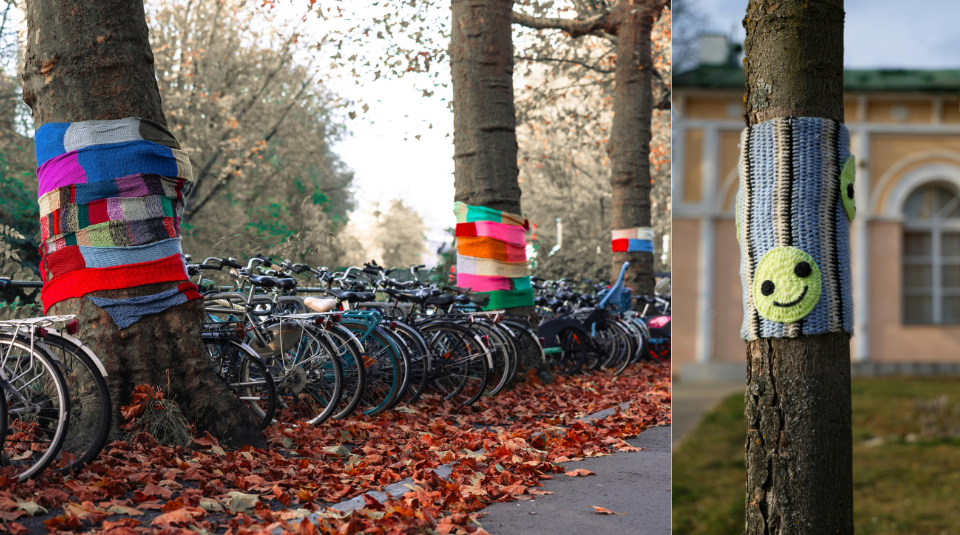 Image of On the left side is a photo of a row of trees and bikes lining a street covered in autumn leaves. Sections of the tree trunks are covered in knitting. On the right side of the photo is a tree trunk with one section wrapped in stripped knitting with a yellow knitted smiley face attached.
