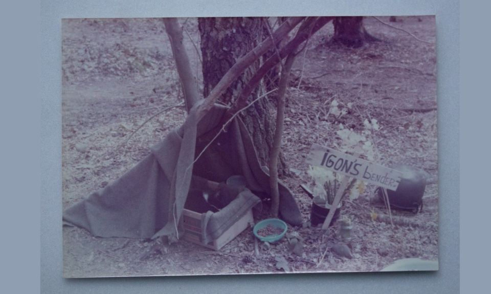 Colour photograph of a black and white cat asleep in a wooden crate with fabric pitched around it like a miniature tent. A small sign reads ‘Igon's bender’ next to it. (Benders are simple tents made with branches and weighed down fabric covers.)