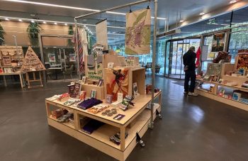 Image of Wooden shop fixtures in the museum foyer